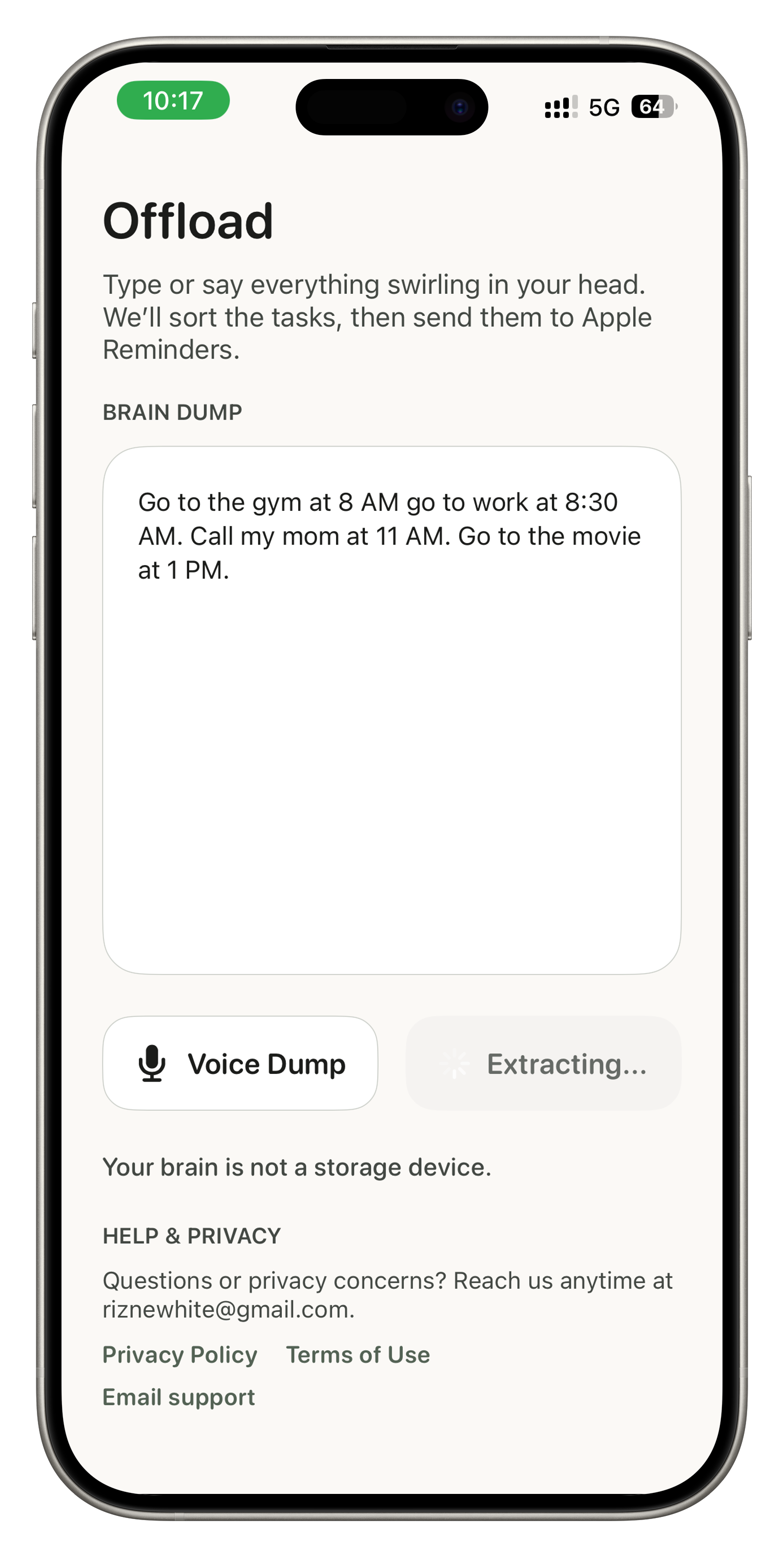 Offload brain dump input screen
